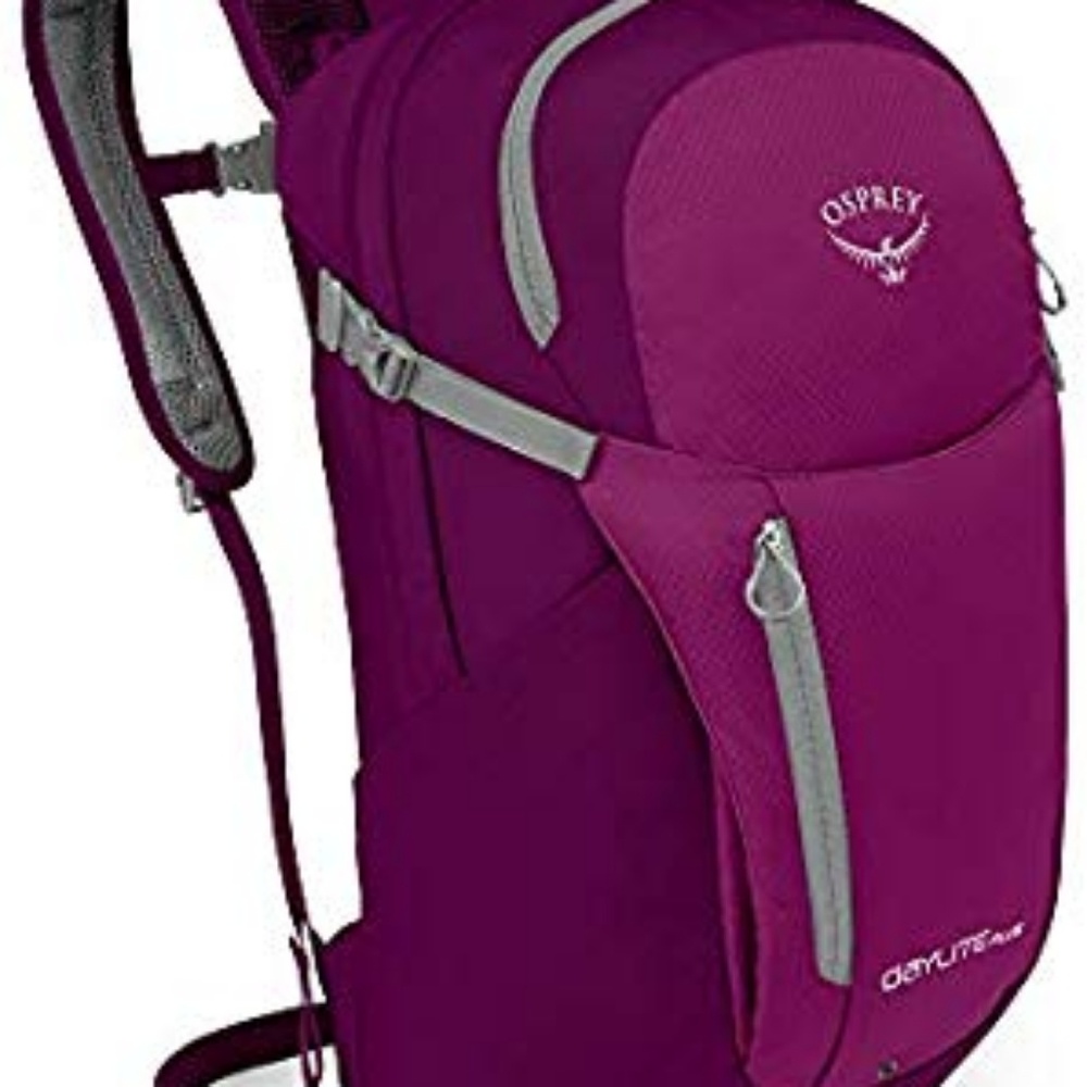 Osprey Daylite Plus Backpack